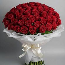 Букет 101 Красная роза Блэк Мэджик в Бутиково