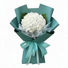 Букет цветов из:  Гортензия в Бутиково